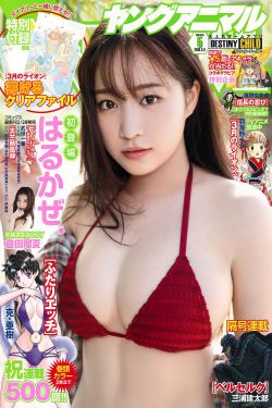 完美世界顶点